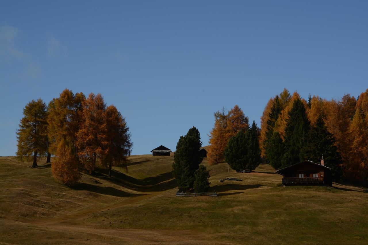 טזרו Dolomites B&B - Suites, Apartments And Spa מראה חיצוני תמונה